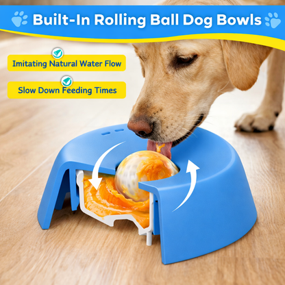 Venlo Slow Feeder Dog Bowl